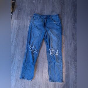 American Eagle Outfitters Classic Blue Denim